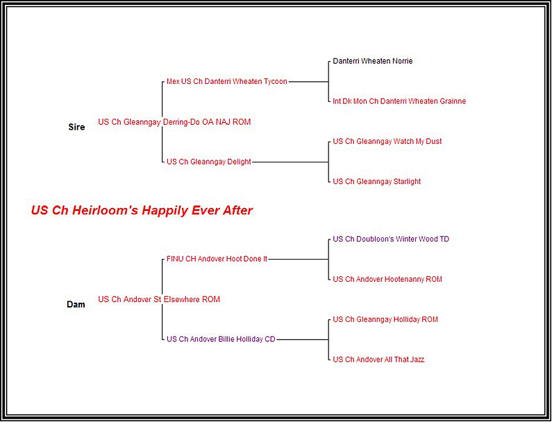 Pedigree CH Heirloom Happily Ever After