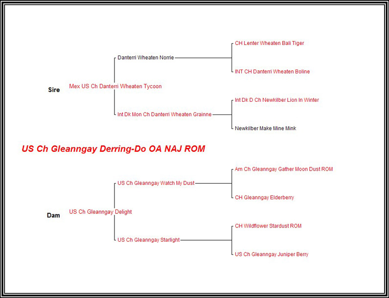 Pedigree CH Gleanngay Derring-Do