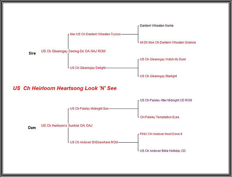 Pedigree CH Heirloom Heartsong Look 'N' See